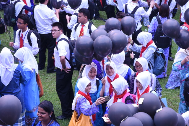 293 DSC 0370